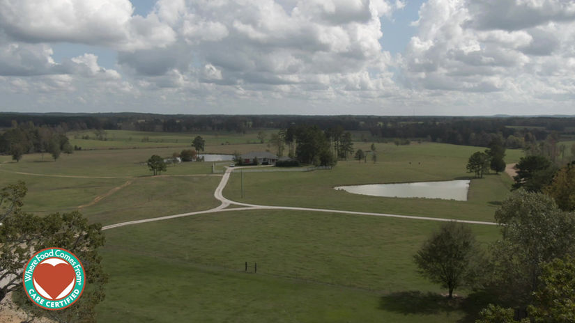Southern Cross Farm